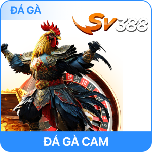 KJC GAMING Hệ Sinh Thái Giải Trí Toàn Diện 12 SV3003